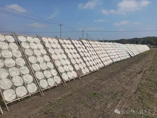 六日「第二人生」可持续闲置市集市集预告！CQ9电子平台入口11月15-16日周(图3)